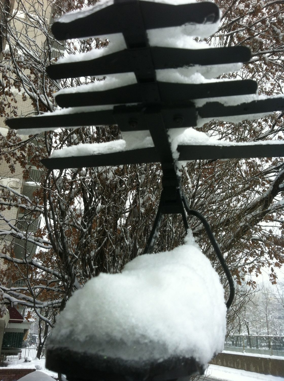 Antenne HD Bunny sous la neige